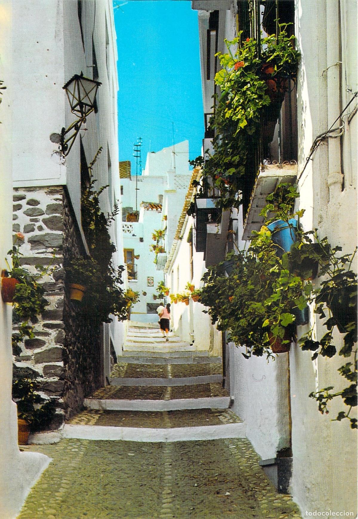 Postales: Postal Almu&ntilde;&eacute;car Tr&oacute;pico de Europa Calle T&iacute;pica Andaluza