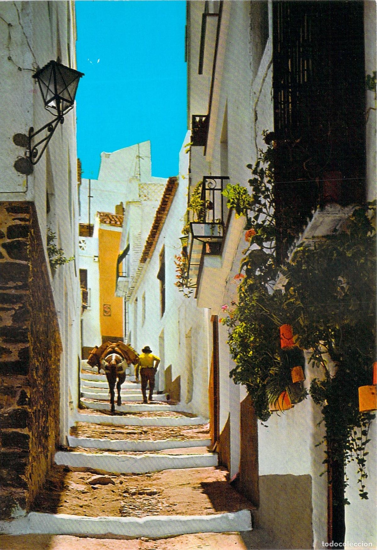 Postales: Postal Almu&ntilde;&eacute;car Calle T&iacute;pica con Burro Granada