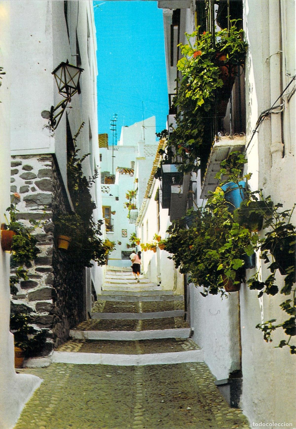 Postales: Postal de Almu&ntilde;&eacute;car Calle T&iacute;pica Tr&oacute;pico de Europa