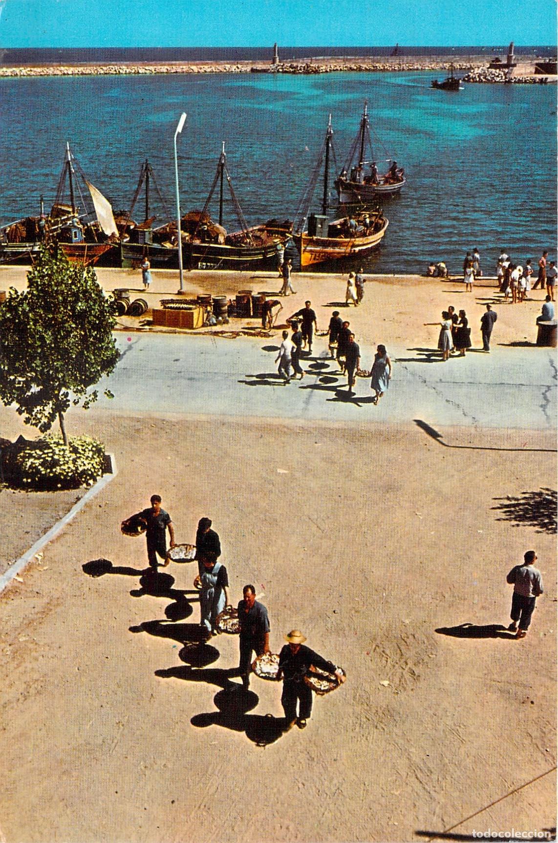 Postales: Postal de Cambrils, Puerto de Pescadores con Barcos de Pesca