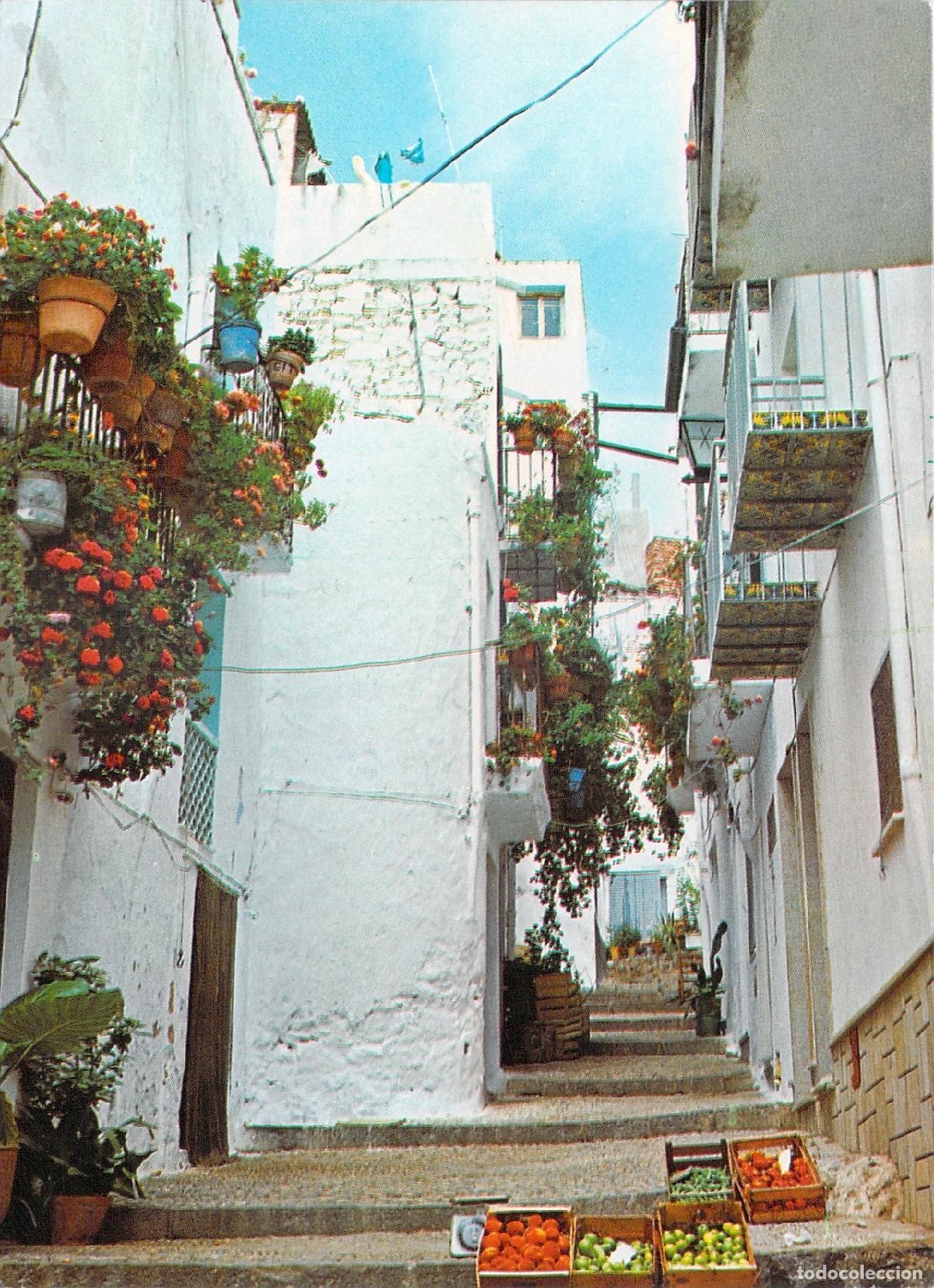 Postales: Postal de Calle T&iacute;pica con Flores en Pe&ntilde;&iacute;scola
