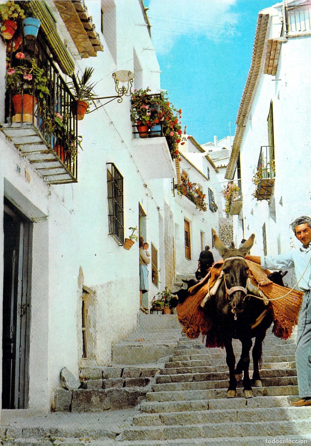 Postales: Postal Altea Alicante Calle T&iacute;pica con Burro y Balcones con Flores