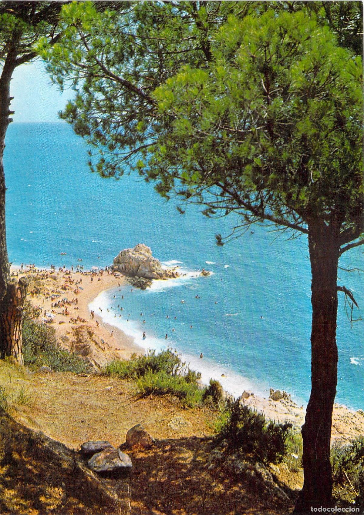 Postales: Postal Playa Roca Grossa en Calella Barcelona