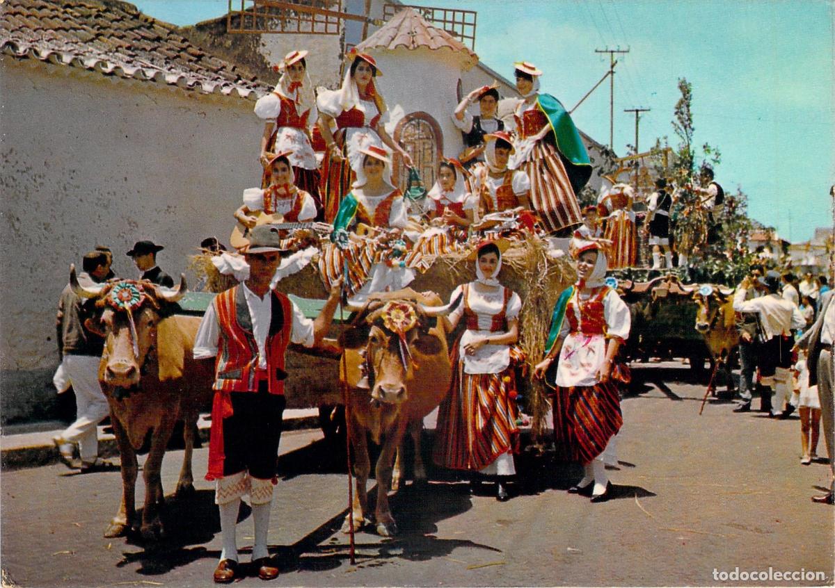 Postales: Postal de la Romer&iacute;a T&iacute;pica con Carreta de Bueyes en Canarias
