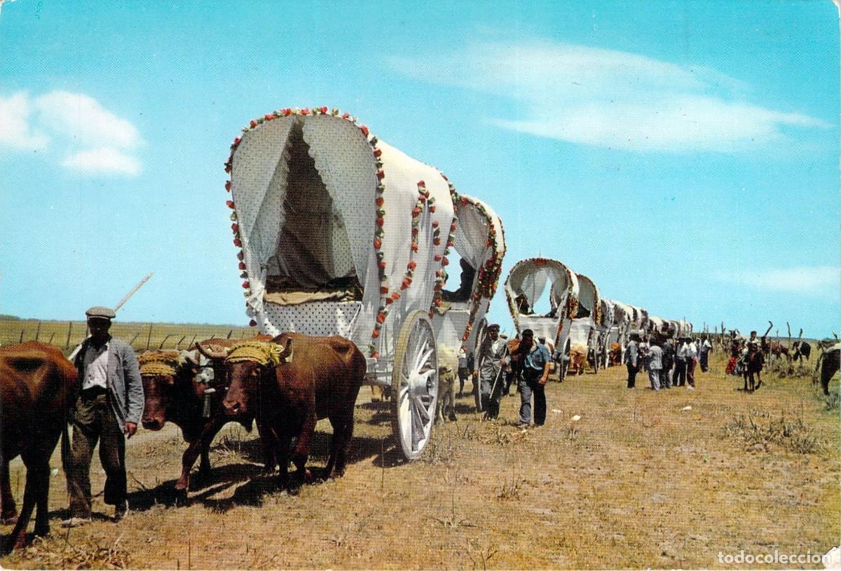Postales: Postal Romer&iacute;a del Roc&iacute;o Andaluc&iacute;a con Carretas de Bueyes
