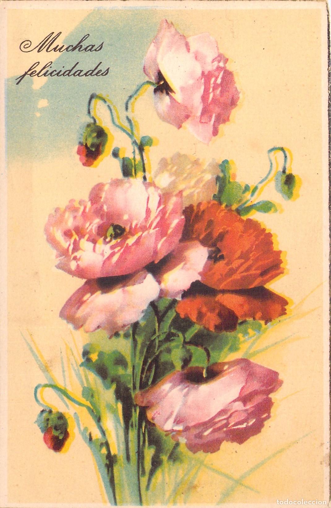 Postales: Postal con ilustraci&oacute;n de amapolas y mensaje de muchas felicidades