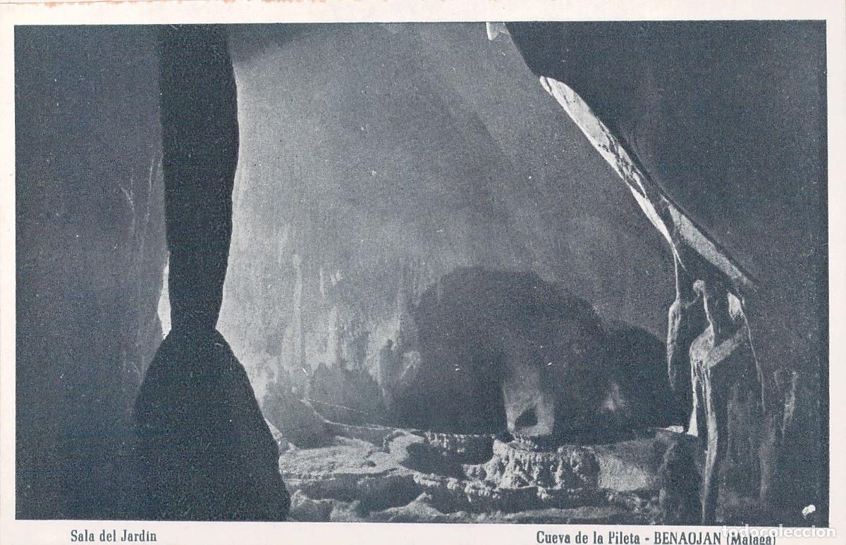 Postales: Postal Cueva de la Pileta en Benaojan, M&aacute;laga