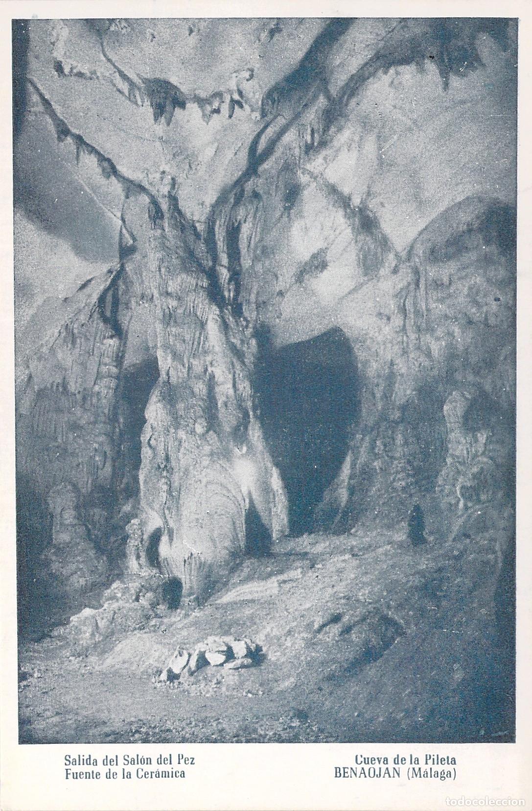 Postales: Postal de la Cueva de la Pileta en Benaojan, M&aacute;laga