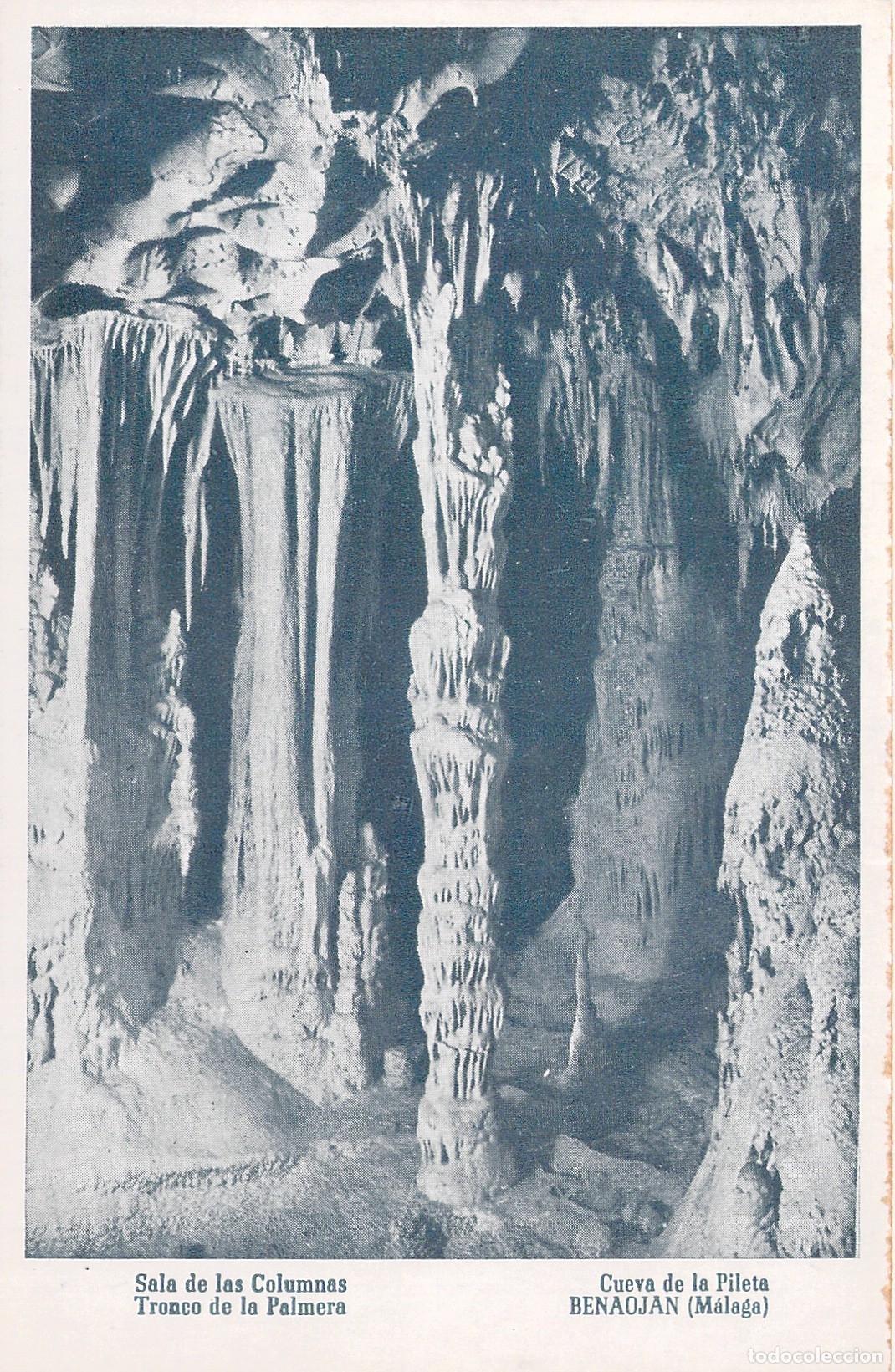 Postales: Postal de la Cueva de la Pileta en Benaojan, Malaga