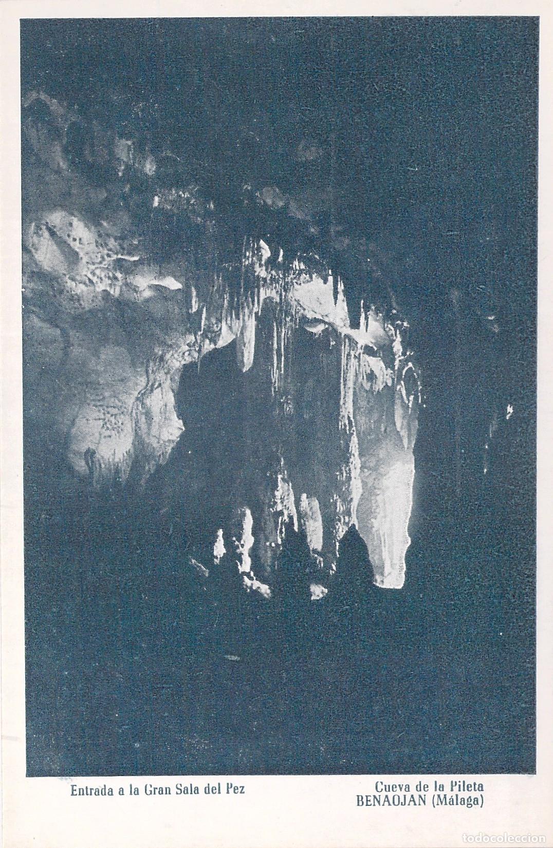 Postales: Postal Cueva de la Pileta Entrada a la Gran Sala del Pez Benaojan Malaga