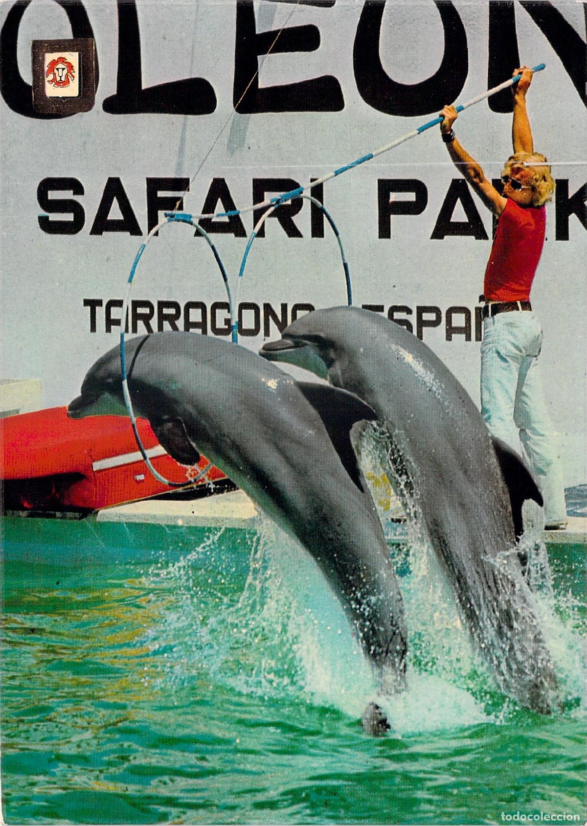 Postales: Postal de espectaculo de delfines en Rio Leon Safari Park, Tarragona