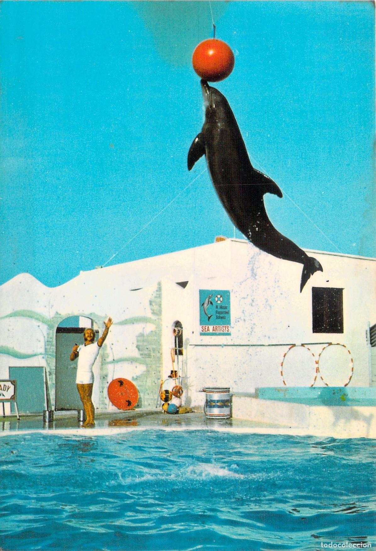 Postales: Postal de Safari Park en Vergel, Alicante