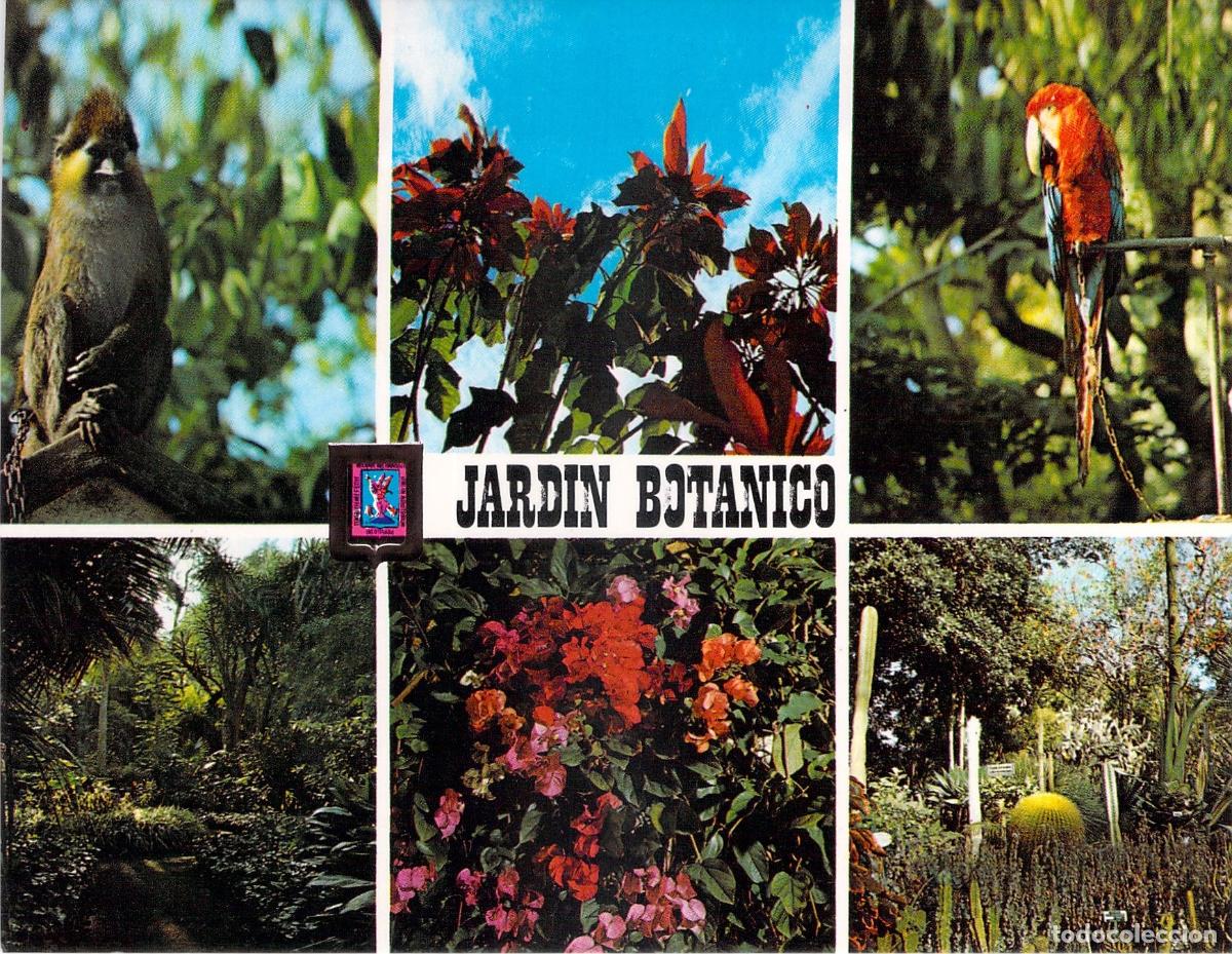 Postales: Postal del Jard&iacute;n Bot&aacute;nico en La Orotava, Tenerife