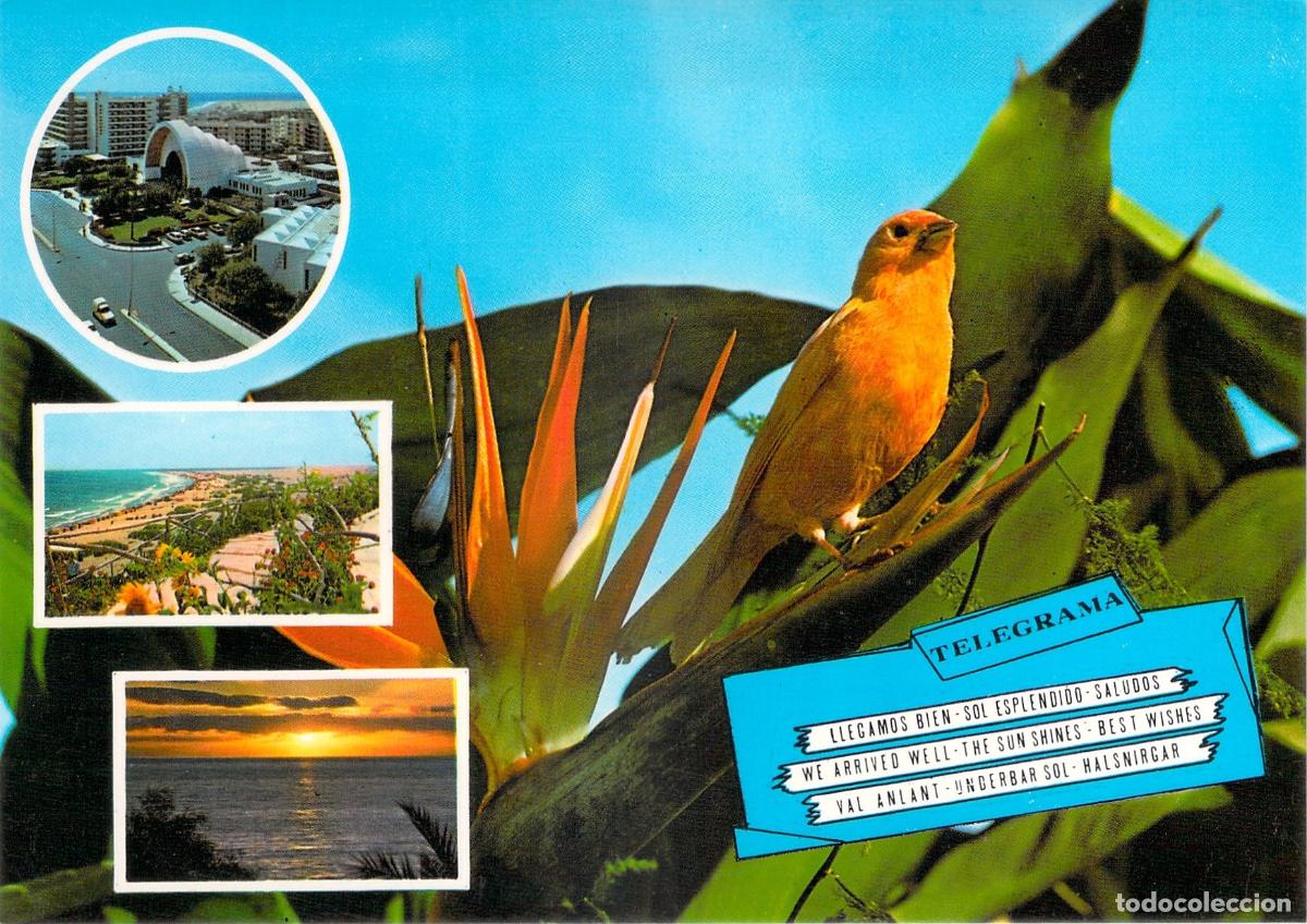 Postales: Postal de Gran Canaria con Canario y Paisajes de Maspalomas