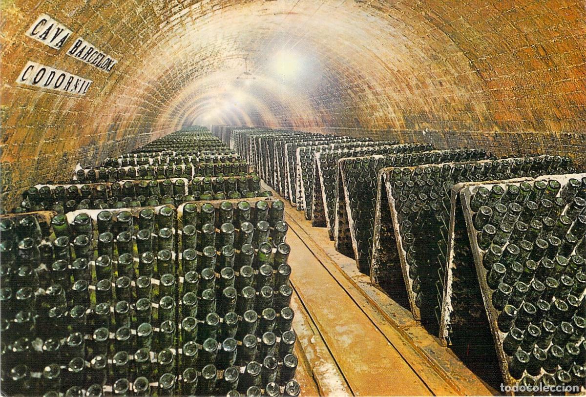 Postkarten: Postal de las Cavas Codorniu en Barcelona con botellas en pupitre