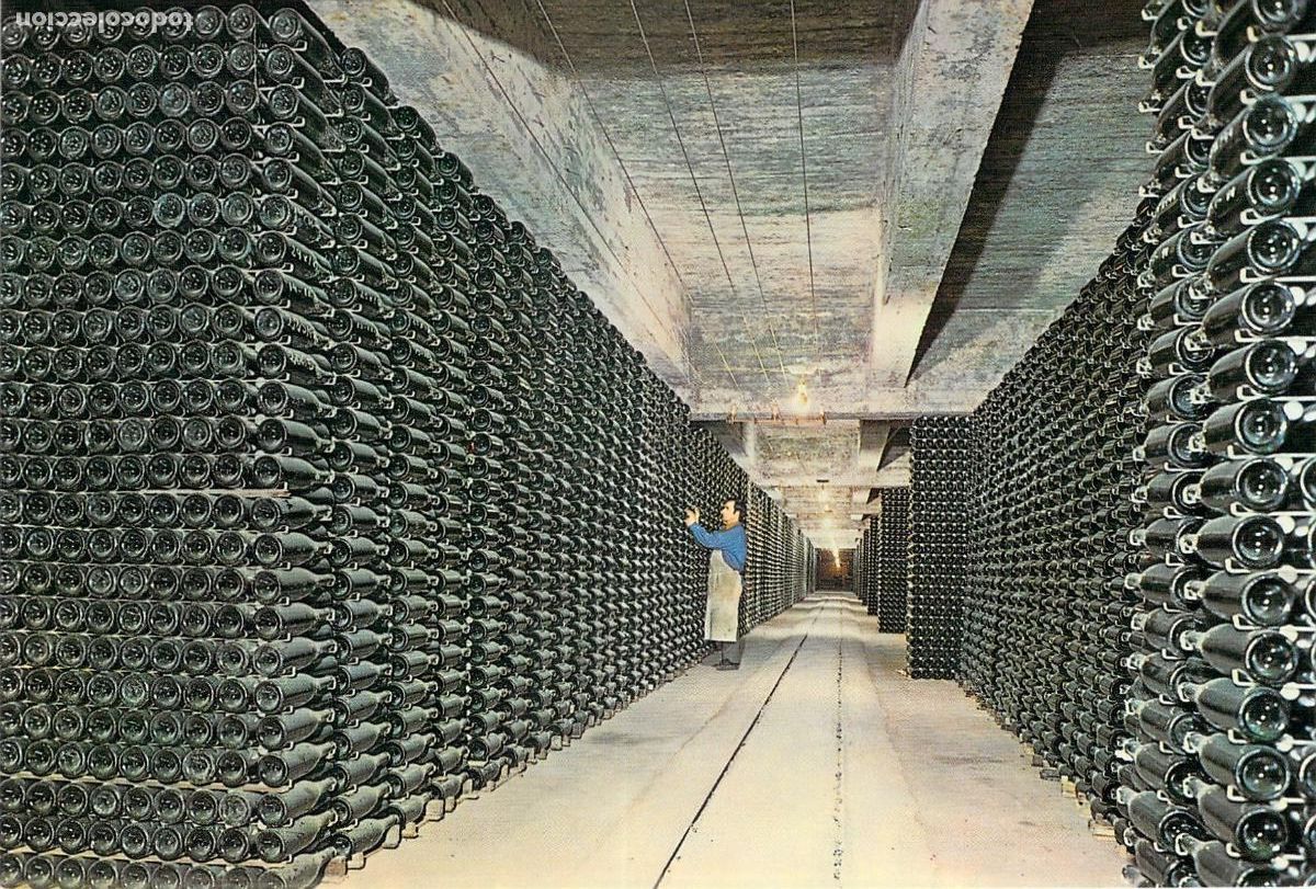 Postkarten: Postal de las Cavas Codorniu con botellas en proceso de envejecimiento