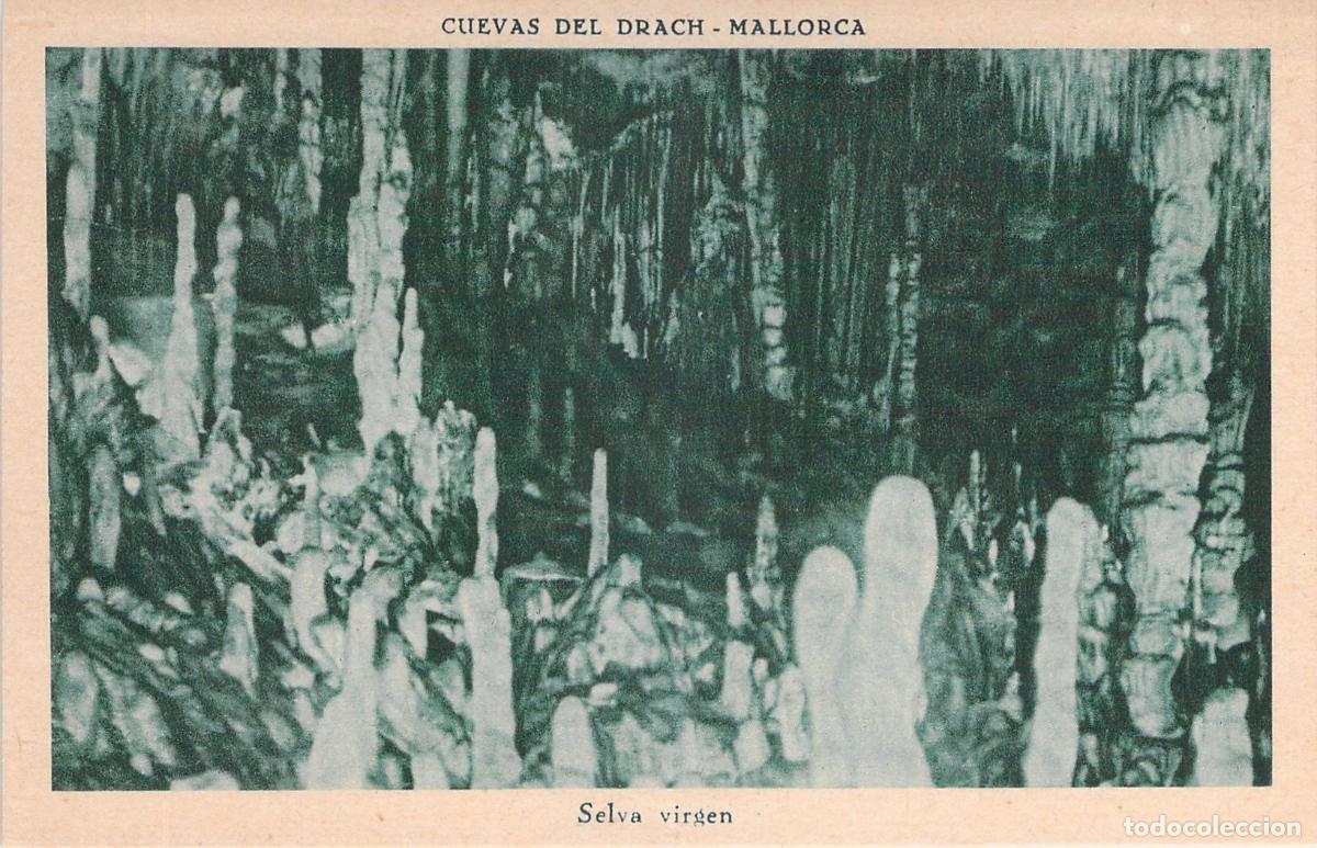 Postkarten: Postal de las Cuevas del Drach Selva Virgen Mallorca