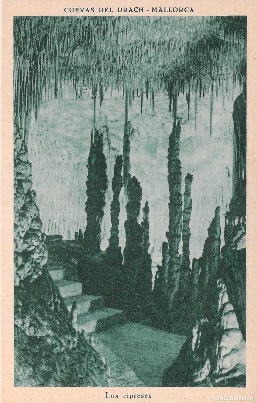 Postales: Postal de Cuevas del Drach, Mallorca