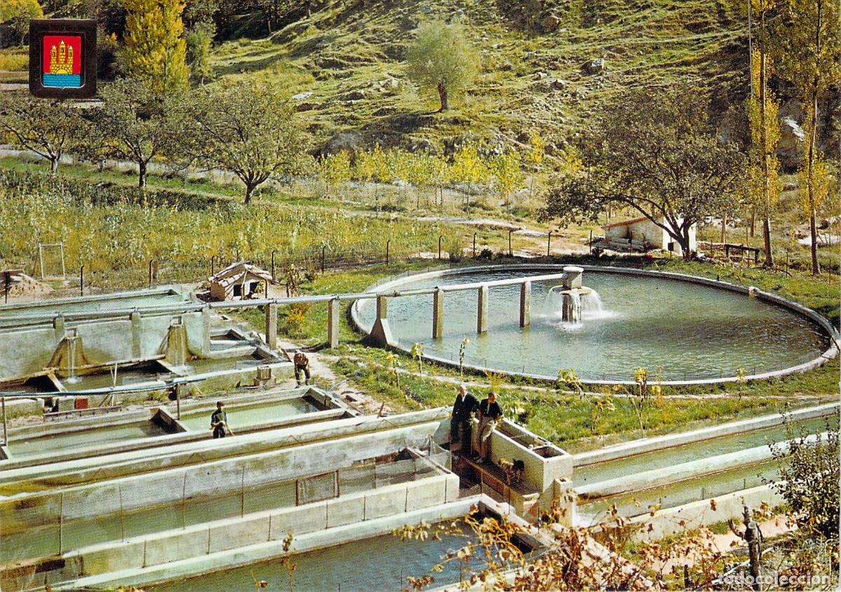 Postales: Postal de Villarluengo Teruel Piscifactor&iacute;a R&iacute;o Guadalope