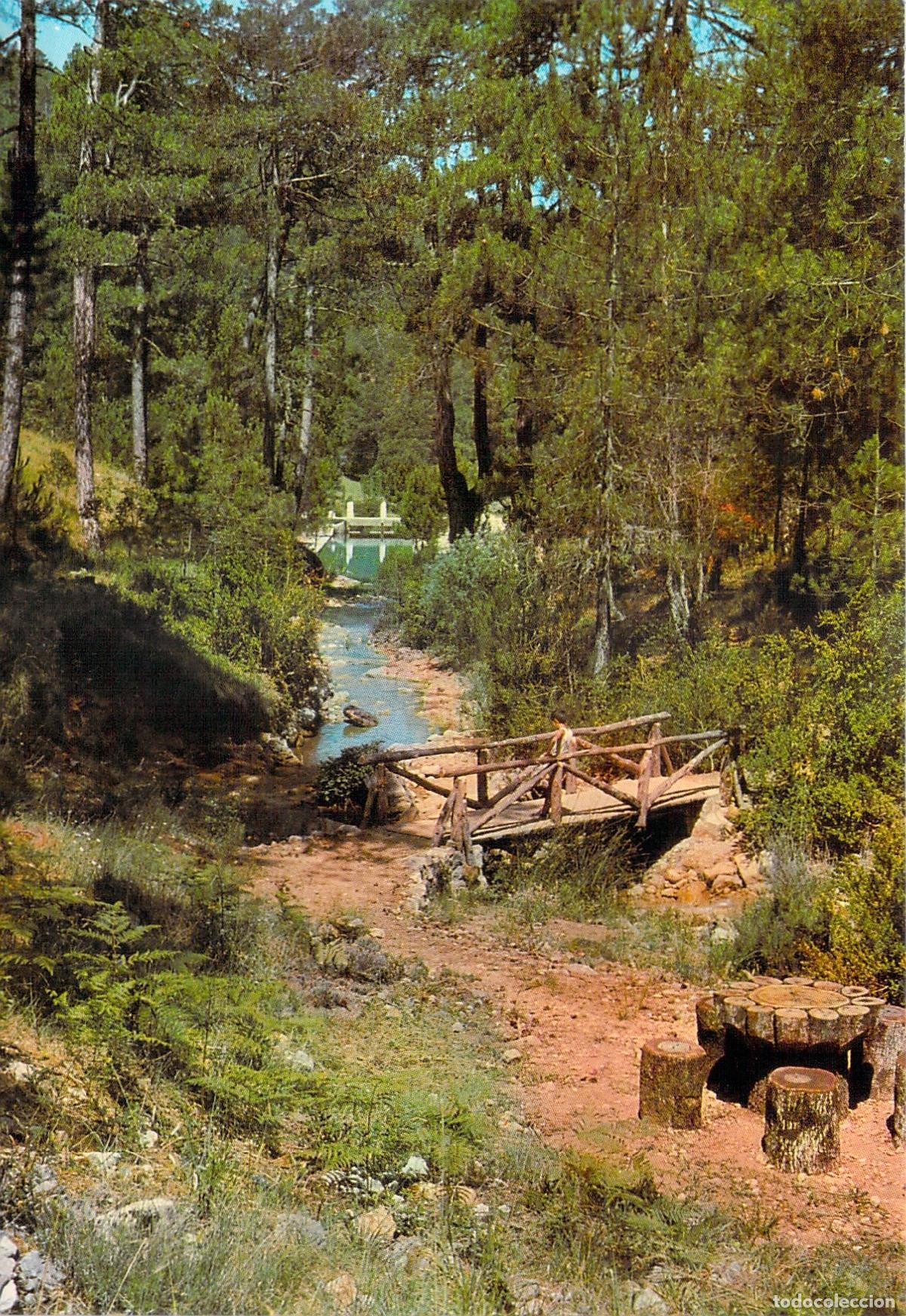 Postales: Postal de la Zona Recreativa de Linarejos en Cazorla, Ja&eacute;n