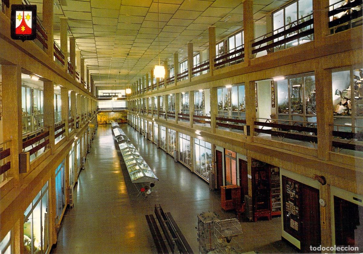 Postales: Postal del Museo de Ciencias Naturales El Carmen en Onda Castell&oacute;n