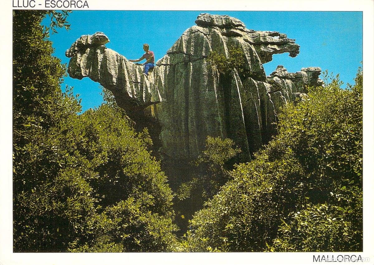 Postales: Postal de formaci&oacute;n rocosa en Lluc, Escorca, Mallorca