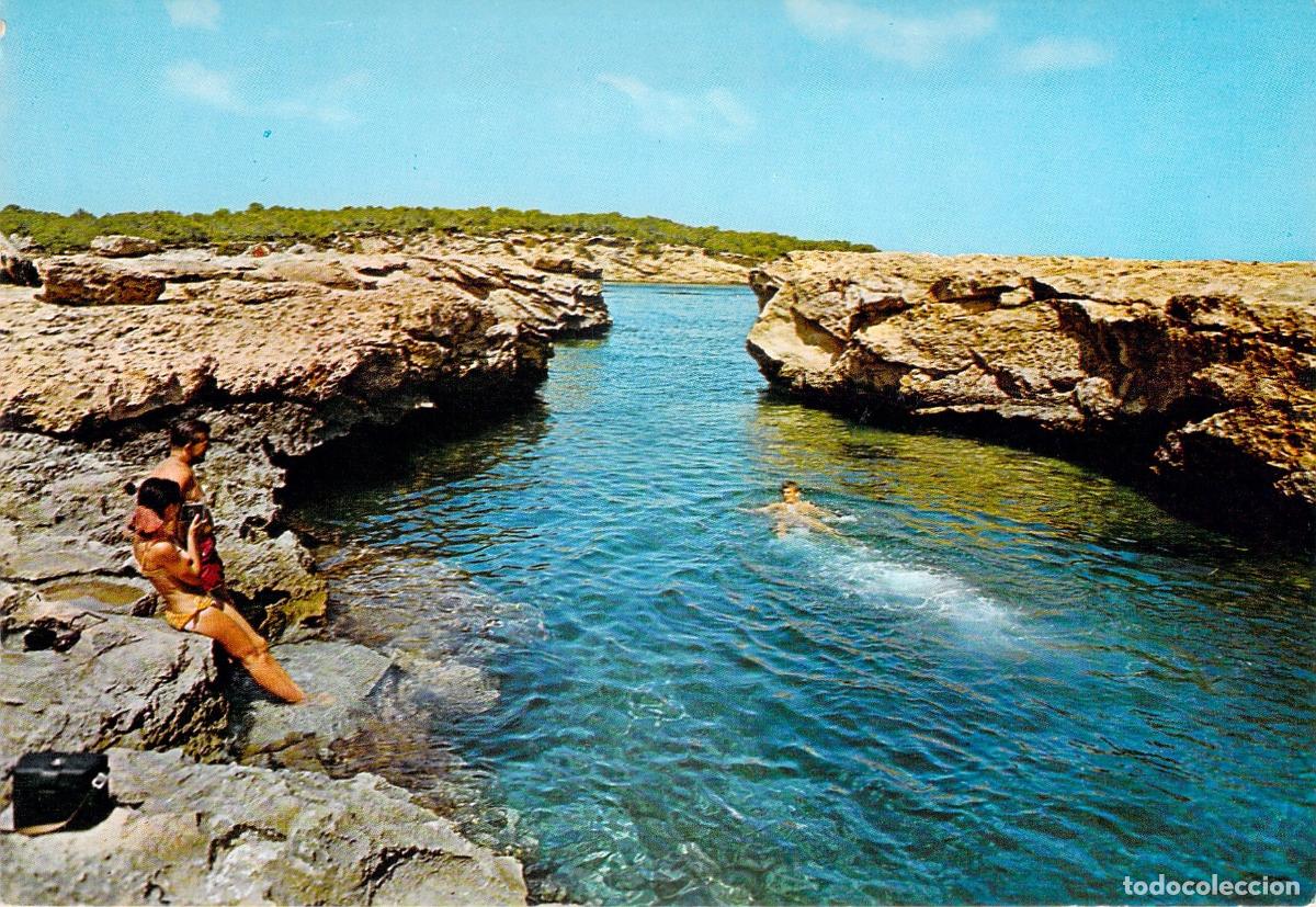 Postales: Postal de Cala Bassa en San Antonio, Ibiza
