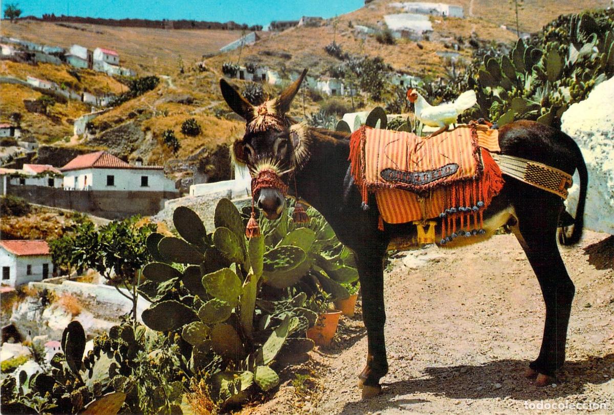 Postales: Postal de Espa&ntilde;a con el burro Chumbito y gallina