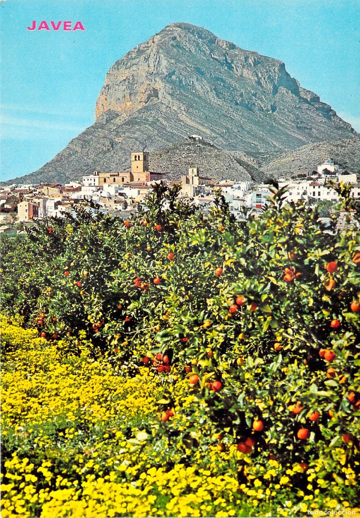Postales: Postal de Javea Alicante pueblo y naranjos