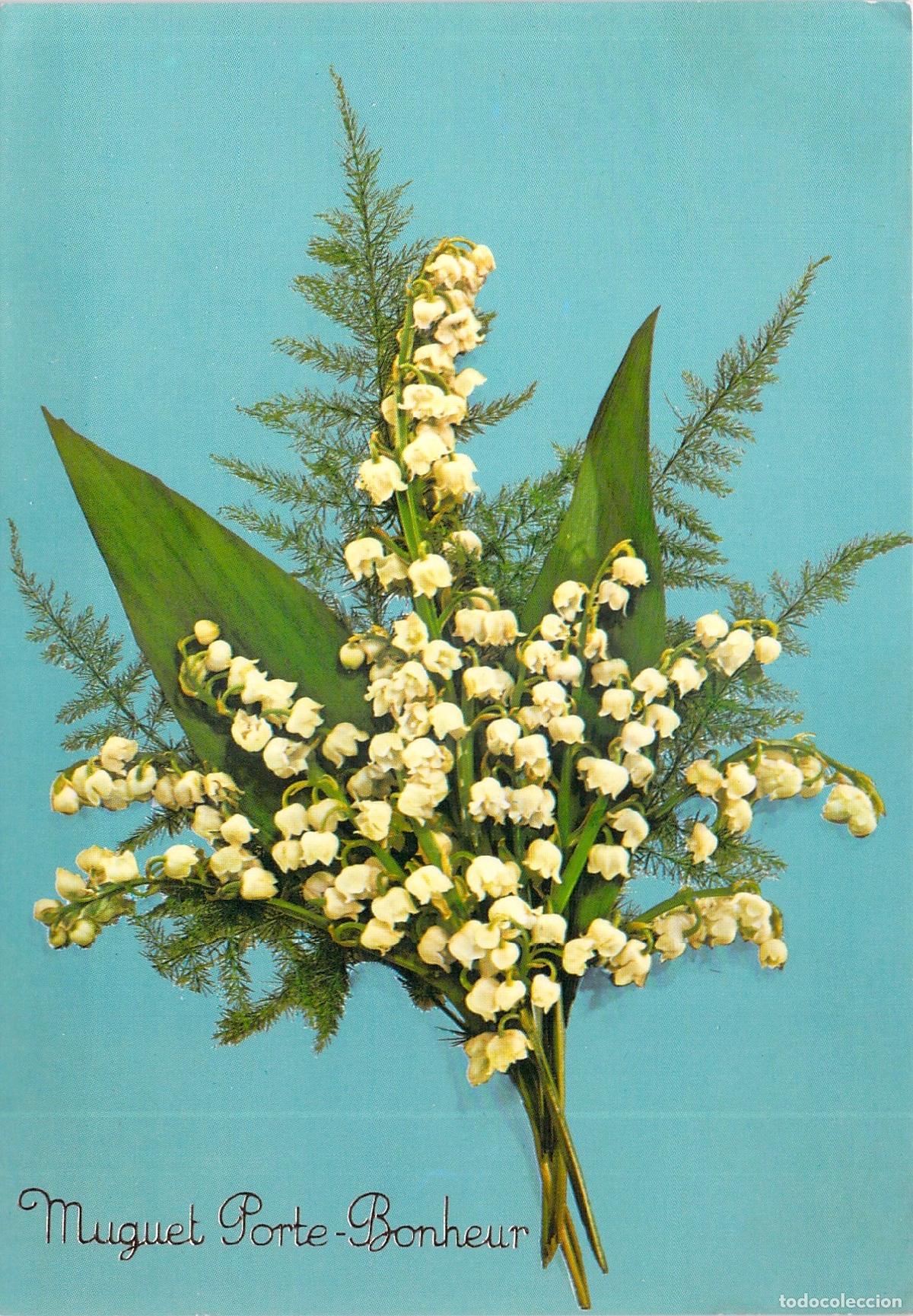 Postales: Postal con ramo de flores Muguet Porte-Bonheur