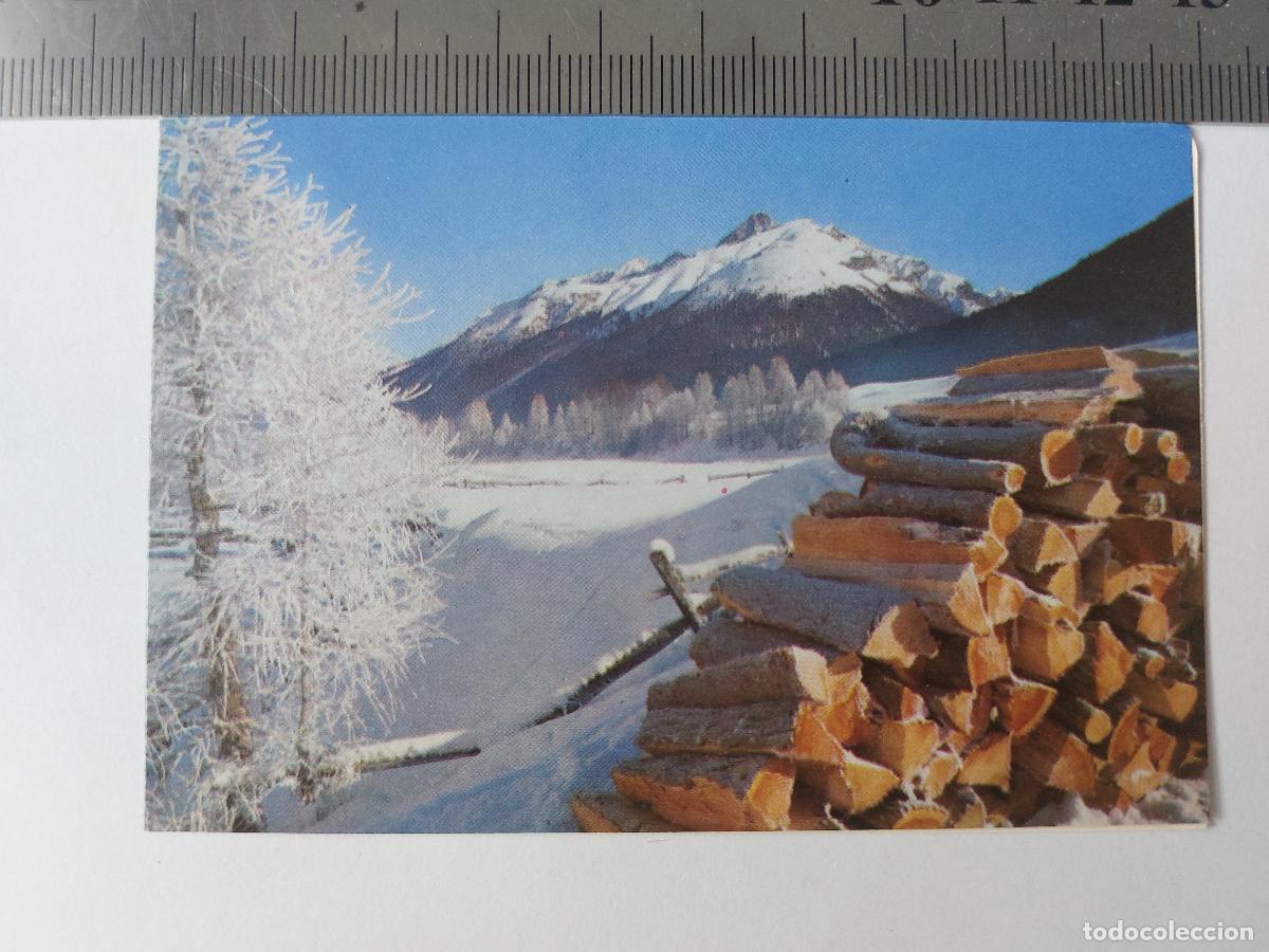 Postales: Estampa de paisaje invernal con le&ntilde;a apilada y monta&ntilde;as