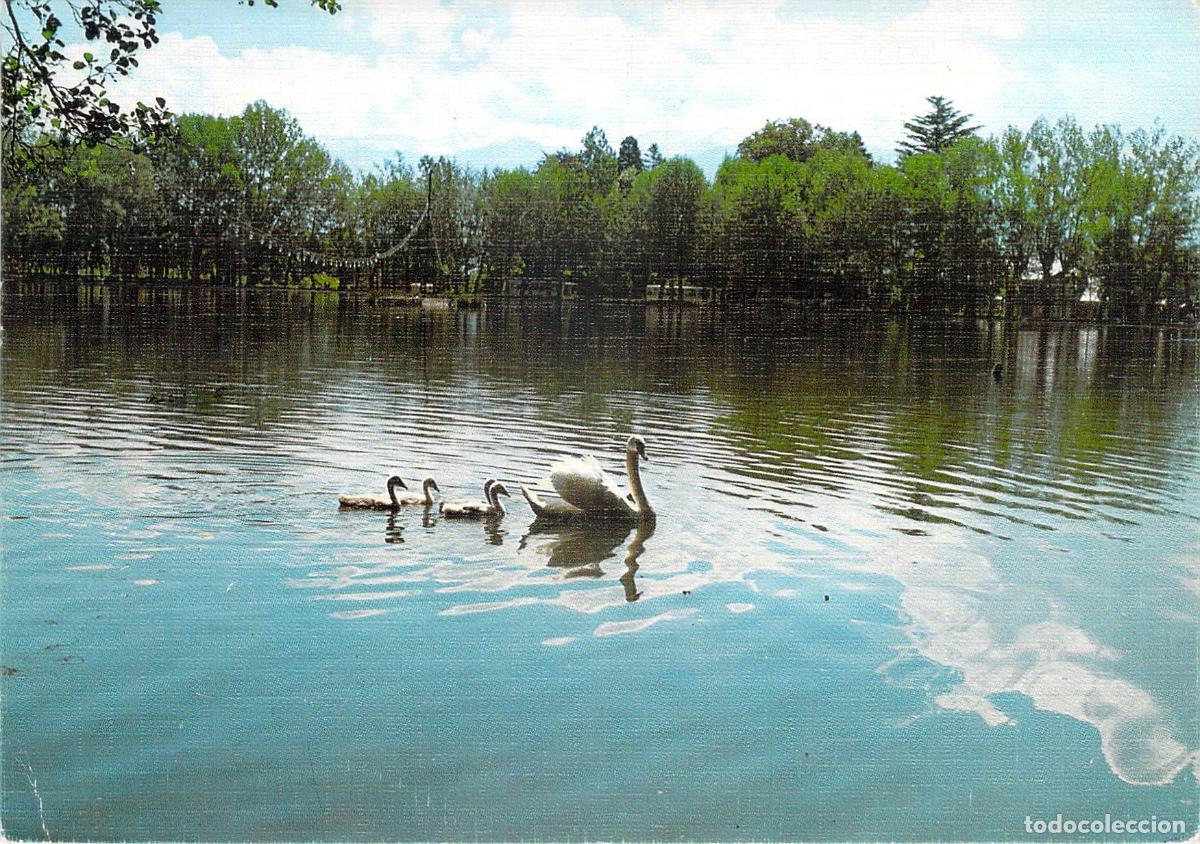 Postales: Postal de Puigcerda Girona El Lago con Cisnes