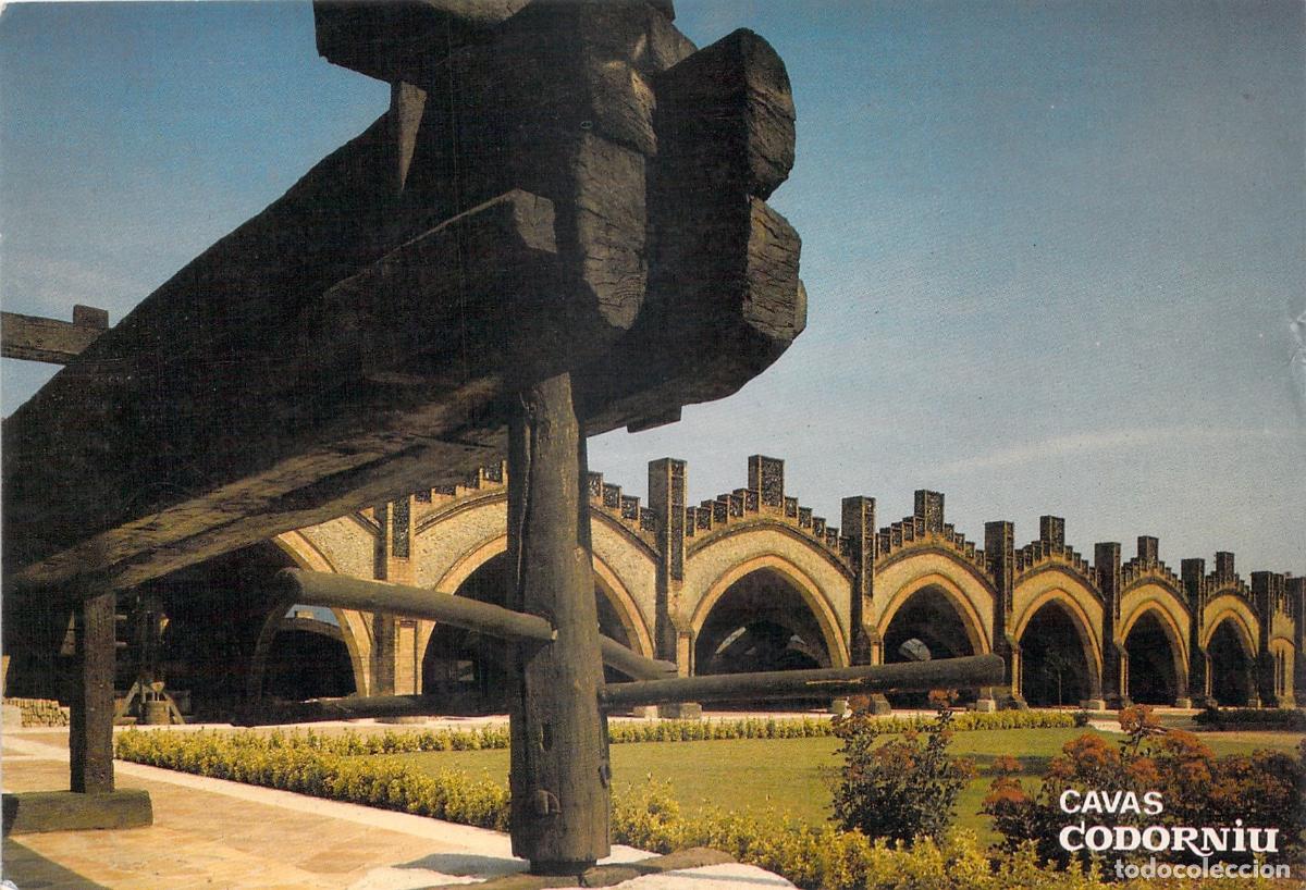 Postales: Postal de las Cavas Codorn&iacute;u en Sant Sadurn&iacute; d'Anoia