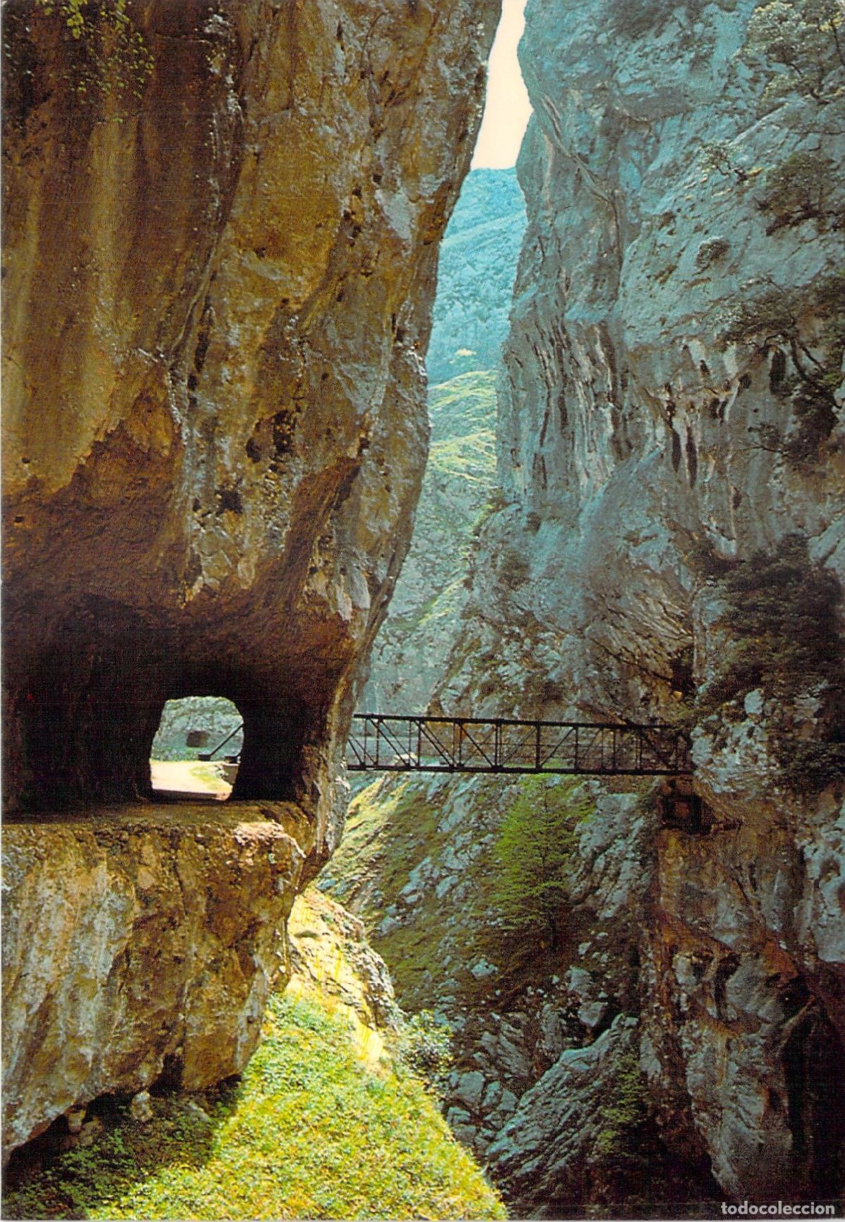 Postales: Postal de la Garganta del Cares en los Picos de Europa