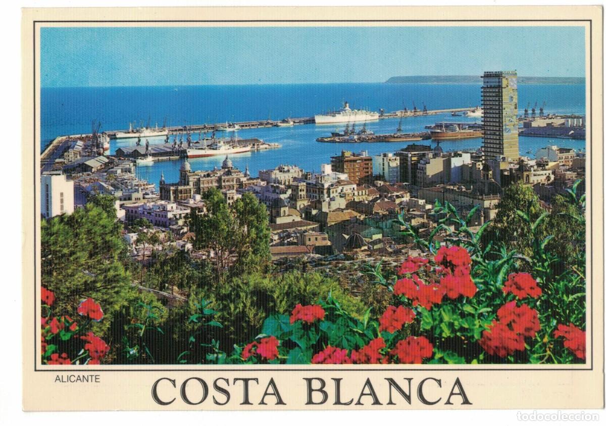 Postales: Postal Alicante Costa Blanca vista del puerto y ciudad desde el mirador a&ntilde;os 70‑80 sin circular