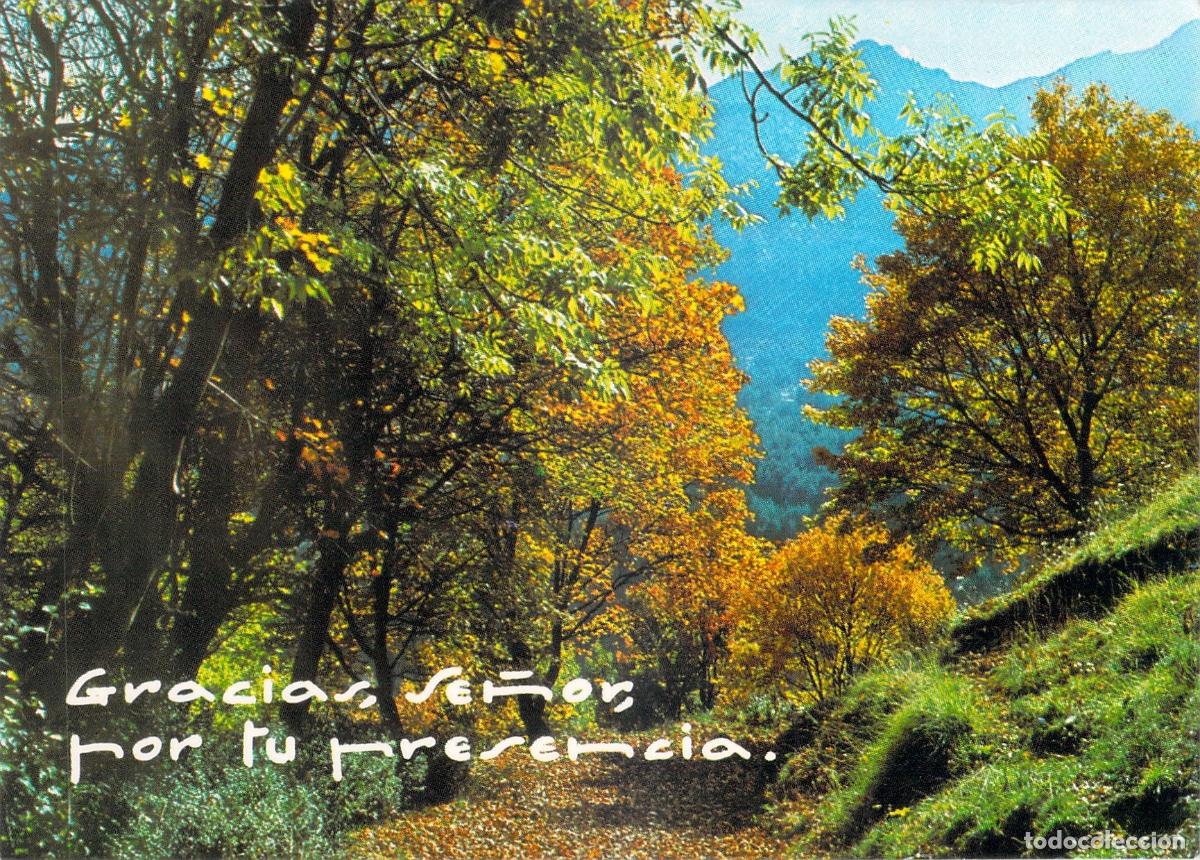 Postales: Postal de paisaje oto&ntilde;al en Espa&ntilde;a - Foto 1