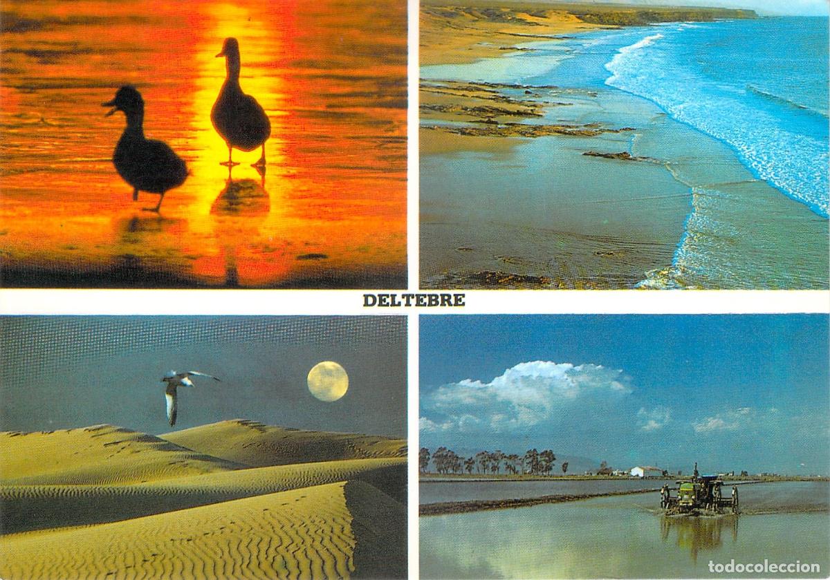 Postales: Postal del Parque Natural del Delta del Ebro, Deltebre