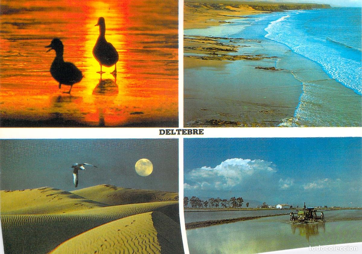 Postales: Postal del Parque Natural del Delta del Ebro, Deltebre
