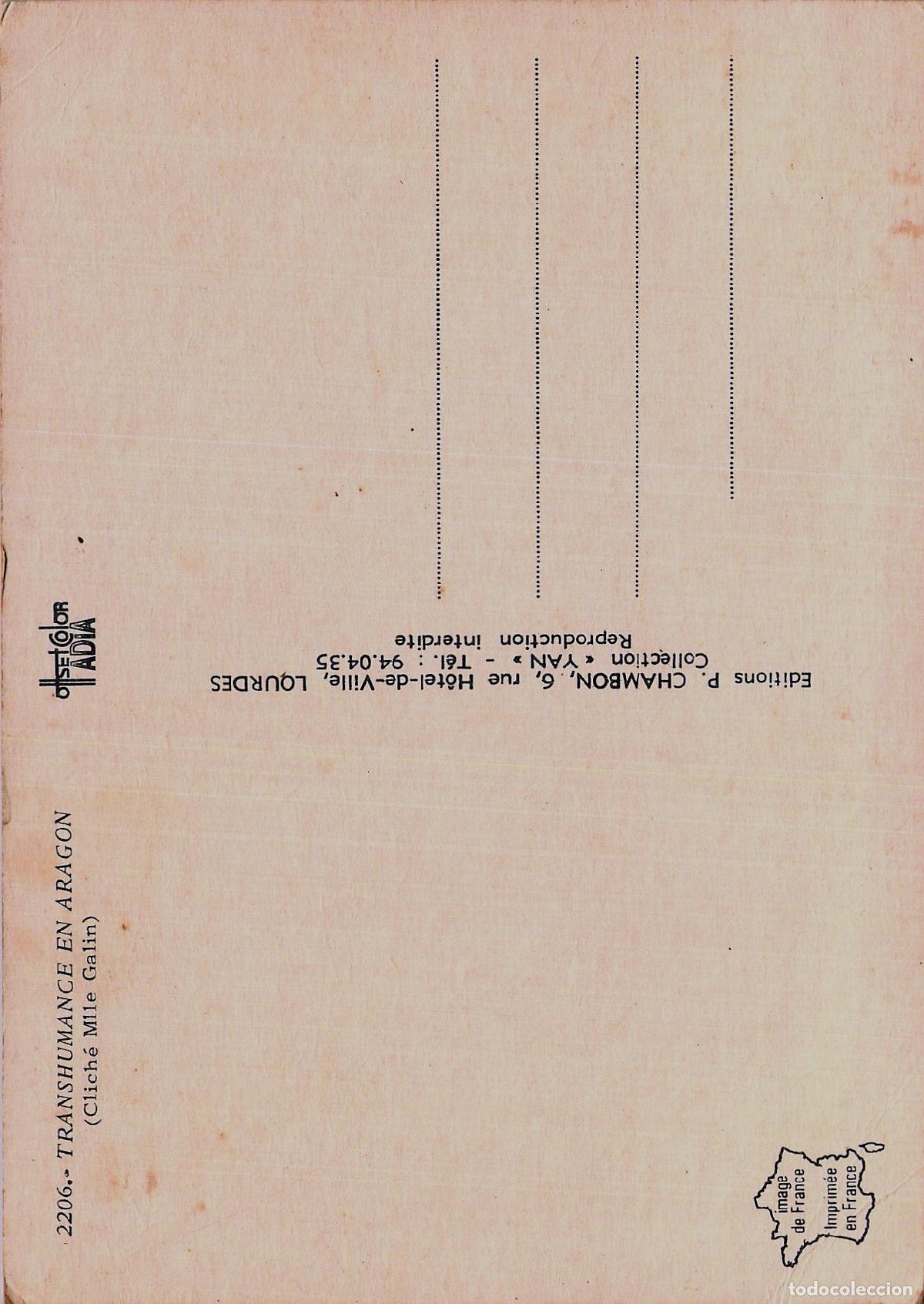 Postales: Postal de Transhumancia en Arag&oacute;n con Pastor y Corderos - Foto 2