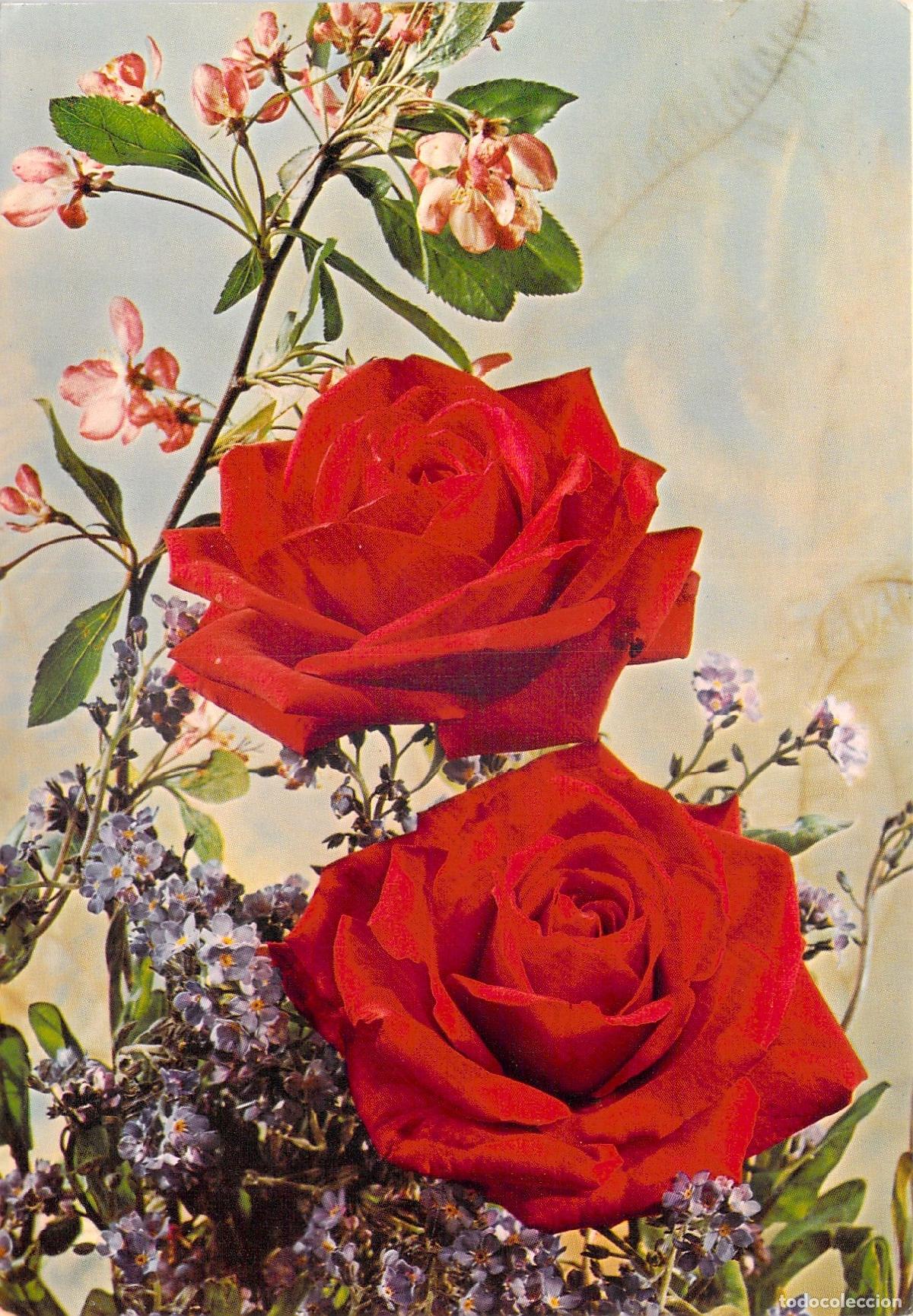 Postales: Postal con ramo de rosas rojas - Foto 1