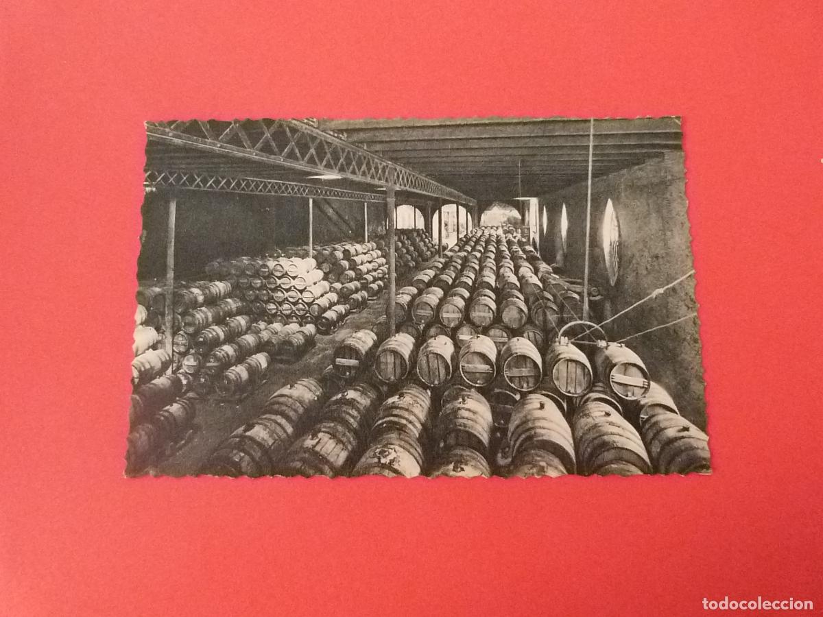 Postales: POSTAL SIN CIRCULAR SAN SADURNI DE NOYA BARCELONA LOTE 22 MIRAR FOTOS
