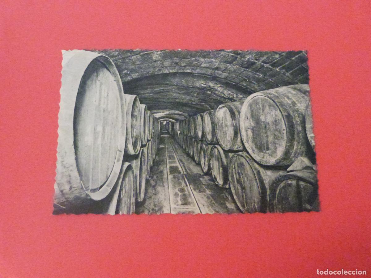 Postales: POSTAL SIN CIRCULAR SAN SADURNI DE NOYA BARCELONA LOTE 22 MIRAR FOTOS