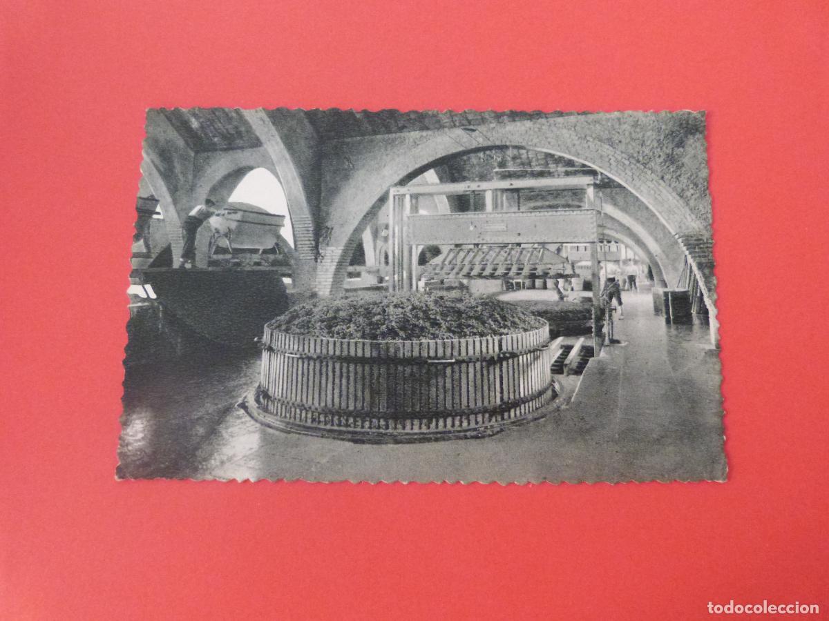 Postales: POSTAL SIN CIRCULAR SAN SADURNI DE NOYA BARCELONA LOTE 22 MIRAR FOTOS
