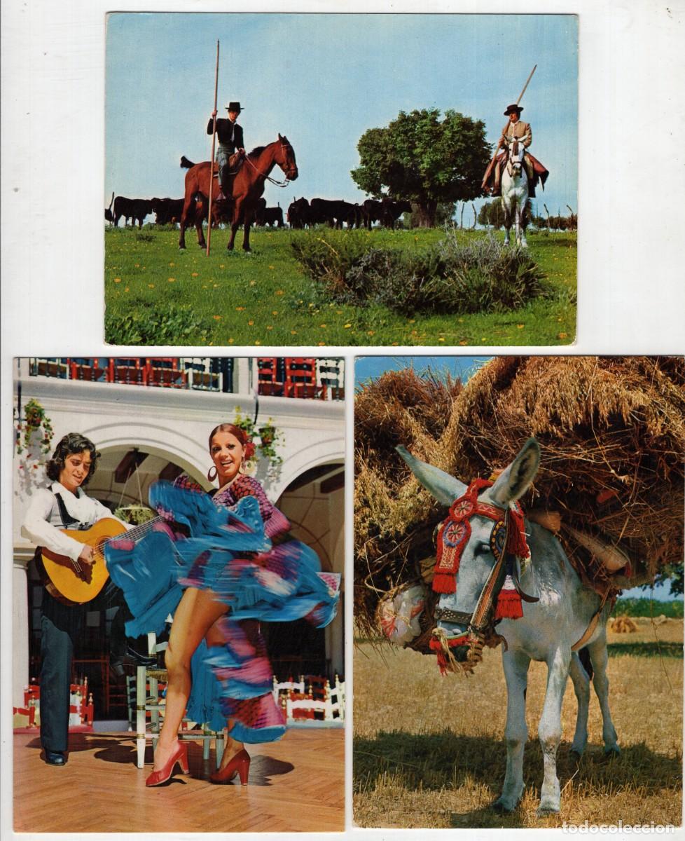 Postales: Lote 21 postales ESPA&Ntilde;A TIPICA -Ediciones Savir- - Foto 3