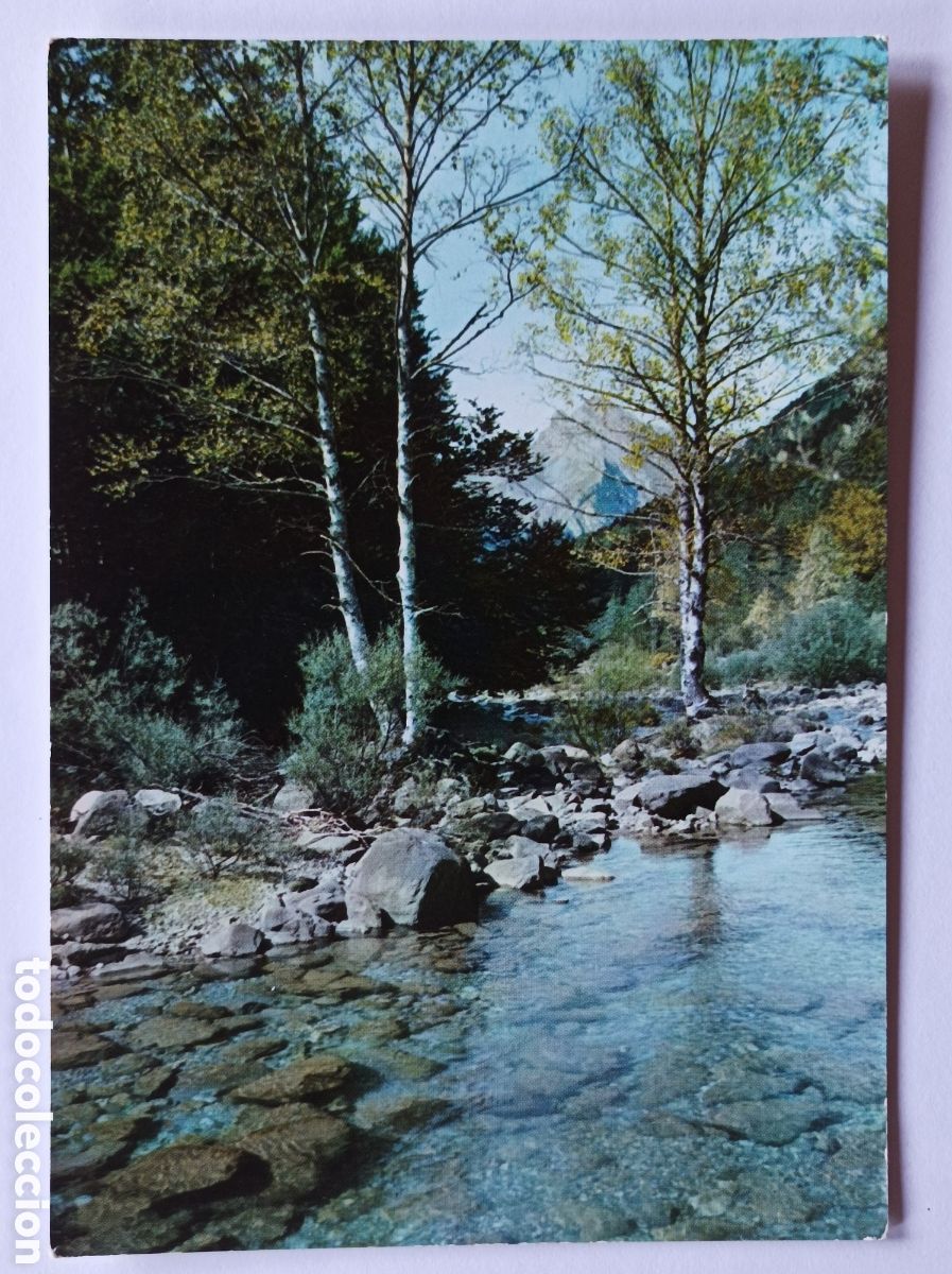 Postales: POSTAL. PIRINEOS ARAGONESES. ORDESA. GARABELLA 5. SIN CIRCULAR.