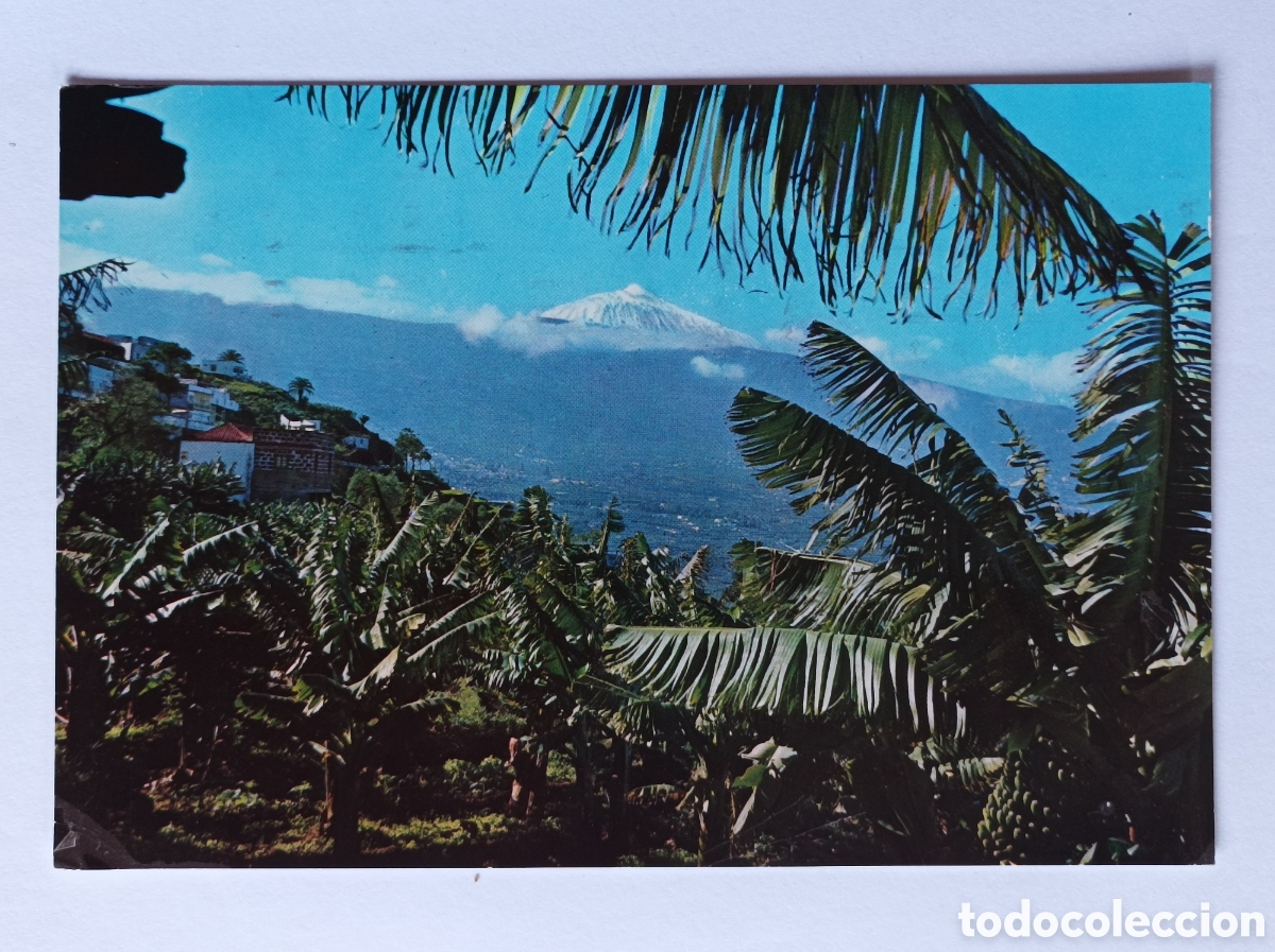 Postales: POSTAL VALLE DE OROTAVA. TENERIFE. EDICIONES RO FOTO 259. CIRCULADA 1967.