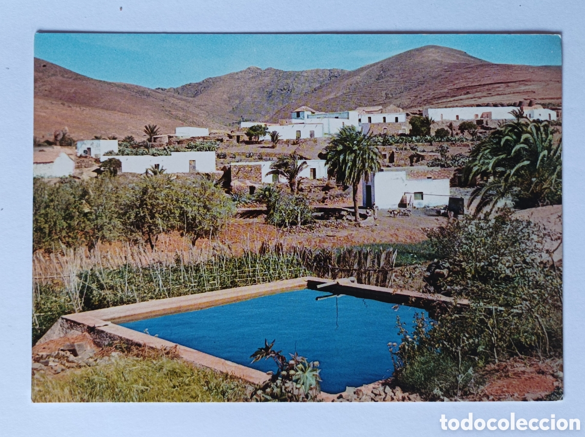 Postales: POSTAL TOTO. FUERTEVENTURA. ARRIBAS 5005. SIN CIRCULAR.