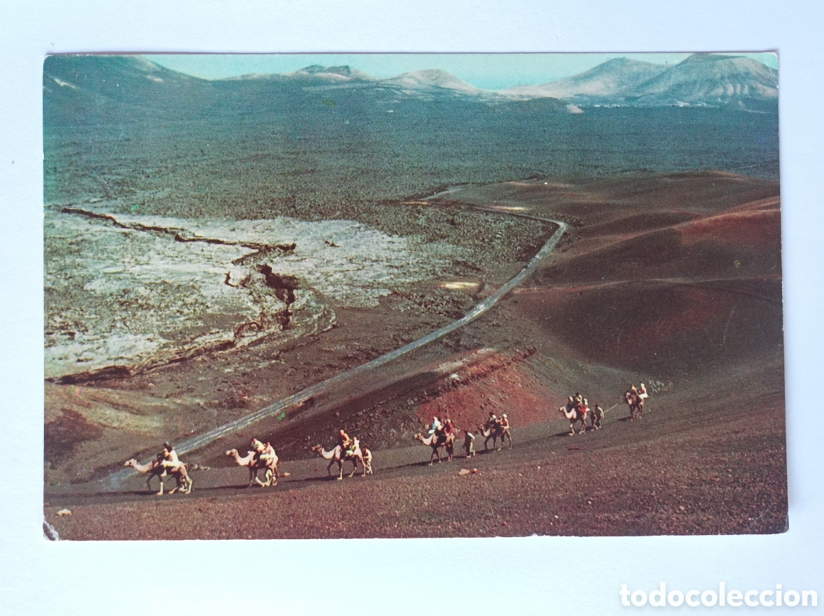 Postales: POSTAL LANZAROTE. TIMANFAYA. BARCELO. CIRCULADA 1962. - Foto 1