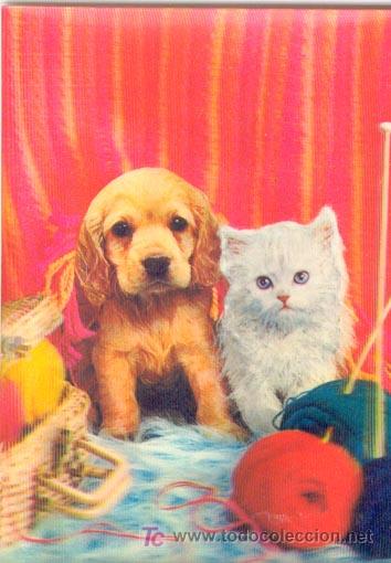 Postales: POSTAL STEREORAMA - PERRITO Y GATITO - Foto 1