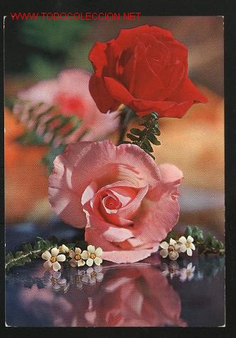 Postales: 1 postal - tema flores  (sin escribir) - Foto 1